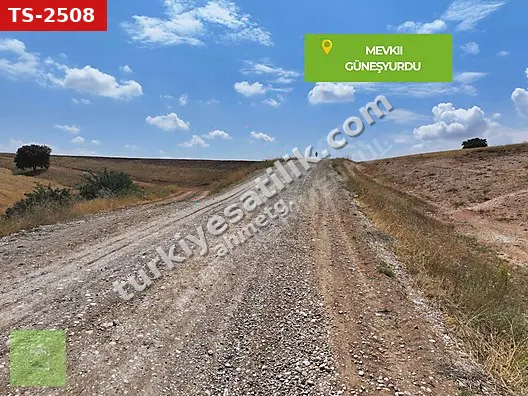 SİVAS KANGAL ALACAHAN HÜRRİYET'TE 4.996 M² UYGUN FİYATLI TARLA