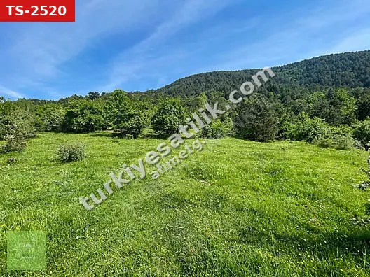 KARABÜK MERKEZ ORTACA KÖYÜNDE SATILIK 1/2 HİSSE İMARLI ARSA